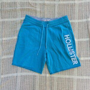 Men's Bright Blue Beachy Hollister Shorts
